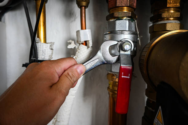 Best Shower Repair Services  in Elmore, OH